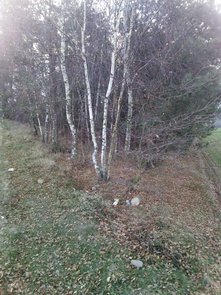 IMG_20181202_144119