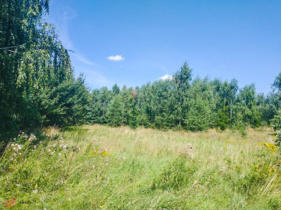 Działka-nad rzeką-Zapolice (2)