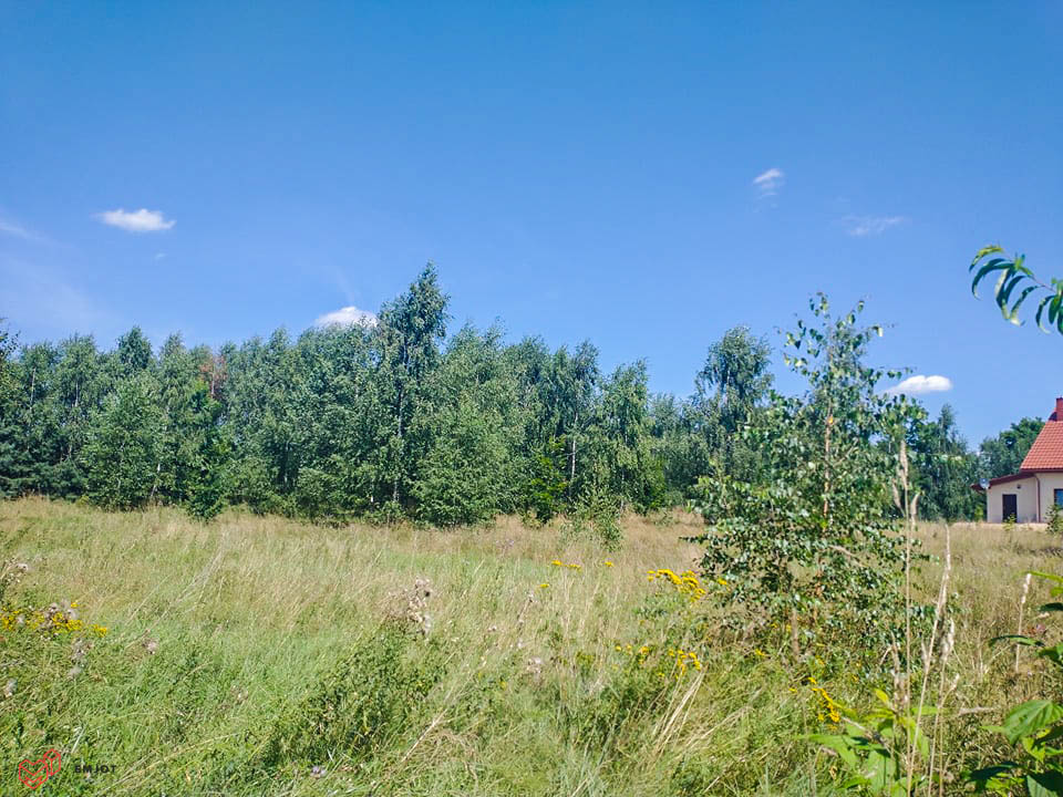 Działka-nad rzeką-Zapolice (10)