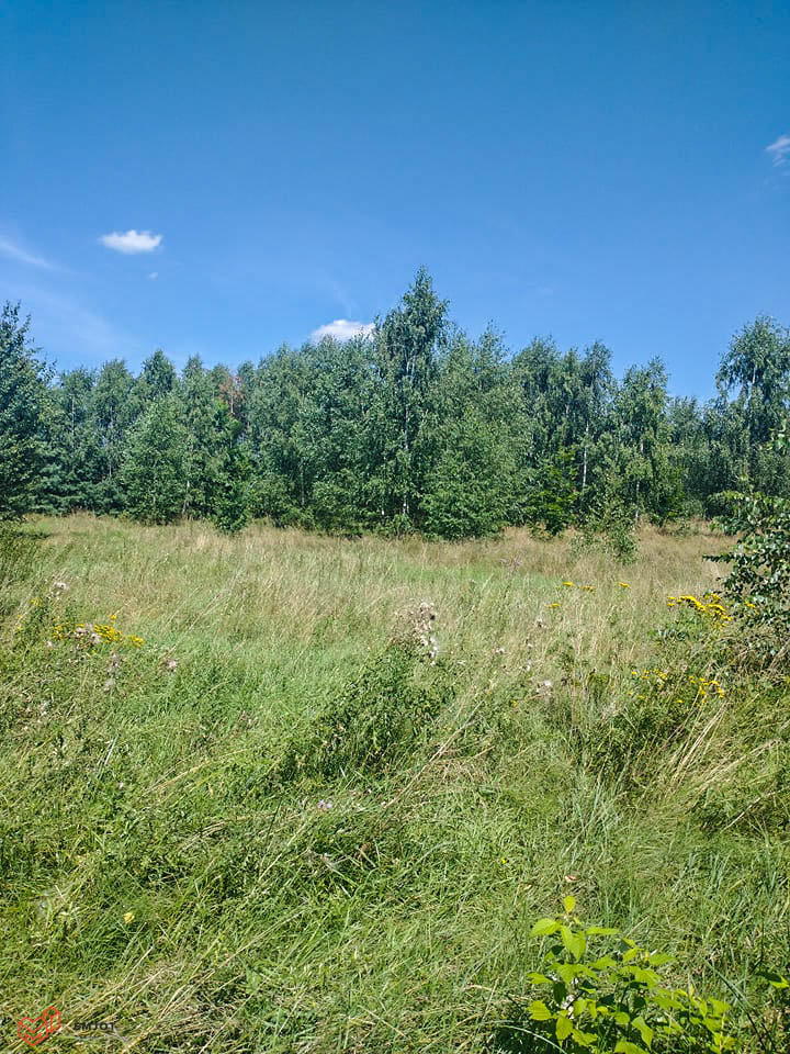 Działka-nad rzeką-Zapolice (9)