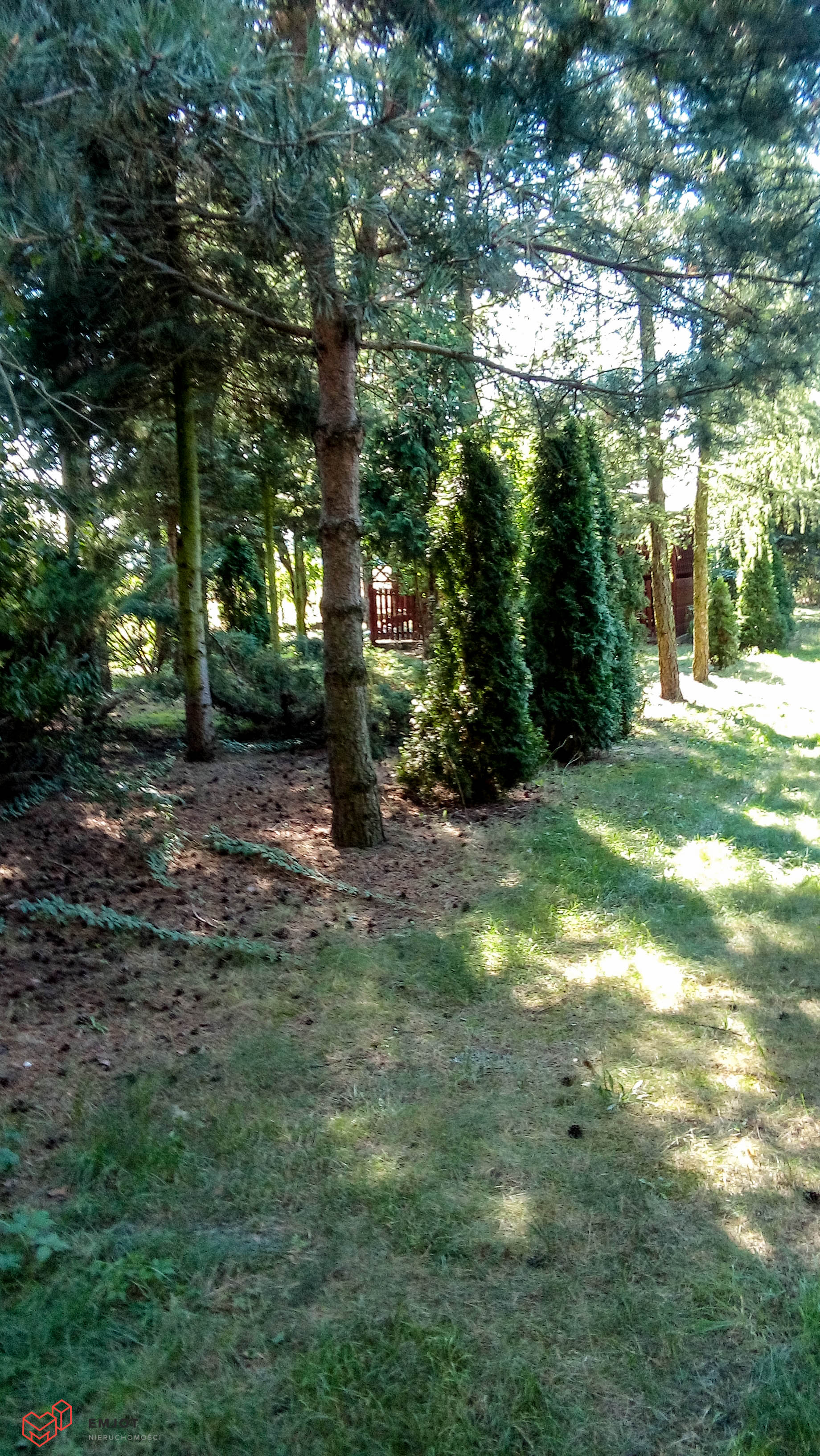 Działka-rekreacyjna-z domkiem-Patoki-3