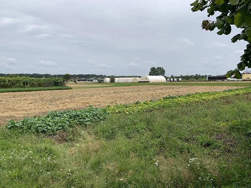 dzialka_grabowiec_5
