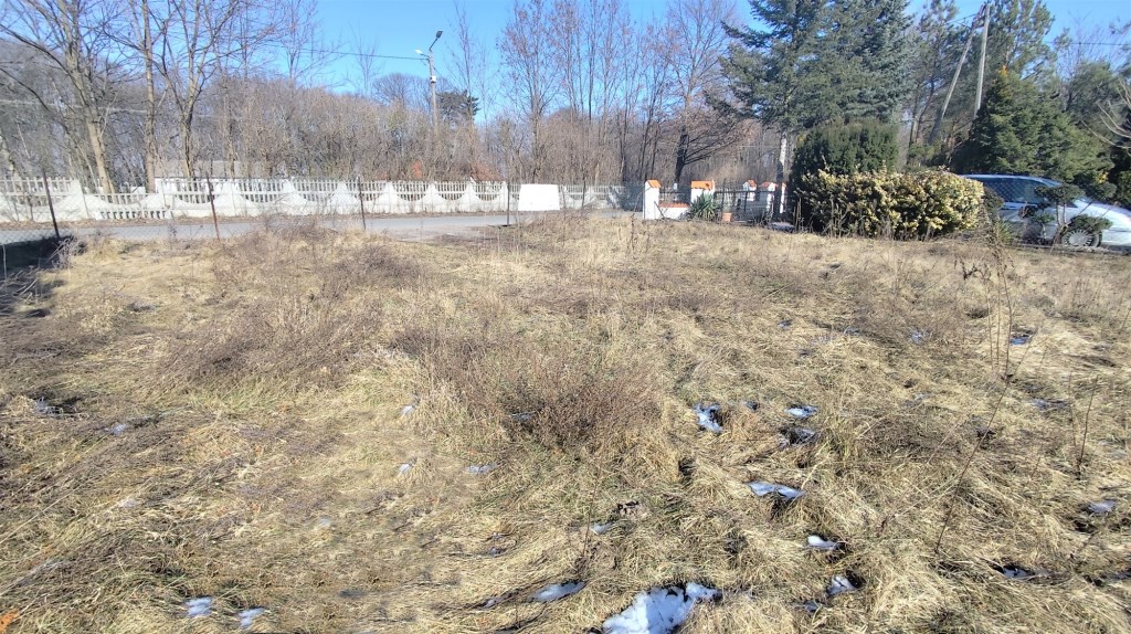 virgofotoresizer (2)